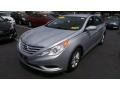 Radiant Silver - Sonata GLS Photo No. 3