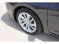 Graphite Luster Metallic - ILX Premium Photo No. 22