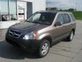 Mojave Mist Metallic - CR-V EX 4WD Photo No. 2