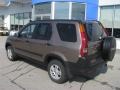 Mojave Mist Metallic - CR-V EX 4WD Photo No. 4