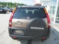 Mojave Mist Metallic - CR-V EX 4WD Photo No. 5