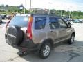 Mojave Mist Metallic - CR-V EX 4WD Photo No. 6
