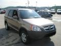 Mojave Mist Metallic - CR-V EX 4WD Photo No. 9