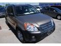 Sahara Sand Metallic - CR-V LX Photo No. 3