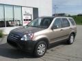 2005 Sahara Sand Metallic Honda CR-V EX 4WD  photo #2