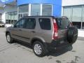 2005 Sahara Sand Metallic Honda CR-V EX 4WD  photo #4