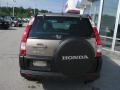 2005 Sahara Sand Metallic Honda CR-V EX 4WD  photo #5