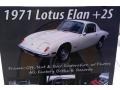 Old English White - Elan +2 S Photo No. 28
