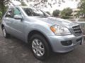 Capri Blue Metallic - ML 350 4Matic Photo No. 7