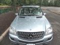 Capri Blue Metallic - ML 350 4Matic Photo No. 9