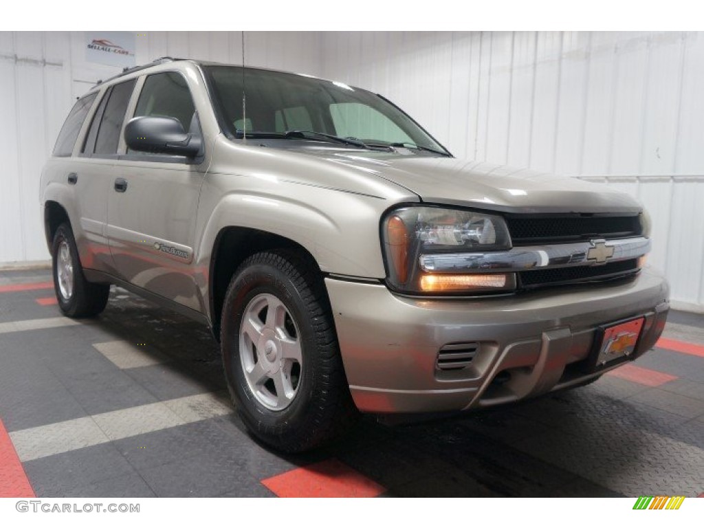 2002 TrailBlazer LS 4x4 - Sandalwood Metallic / Medium Oak photo #5