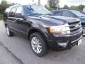 2015 Tuxedo Black Metallic Ford Expedition Limited 4x4  photo #3