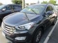 Platinum Graphite - Santa Fe Sport  Photo No. 2