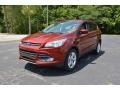 2016 Sunset Metallic Ford Escape SE  photo #1