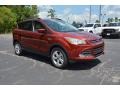 2016 Sunset Metallic Ford Escape SE  photo #3