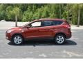 2016 Sunset Metallic Ford Escape SE  photo #9