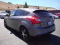 Sterling Gray - Focus SE Hatchback Photo No. 5