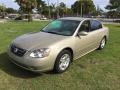 Velvet Beige 2002 Nissan Altima 2.5 S Exterior