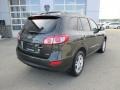 2012 Black Forest Green Hyundai Santa Fe SE V6 AWD  photo #18