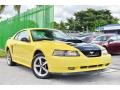 2002 Zinc Yellow Ford Mustang V6 Coupe  photo #1