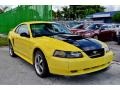 2002 Zinc Yellow Ford Mustang V6 Coupe  photo #4