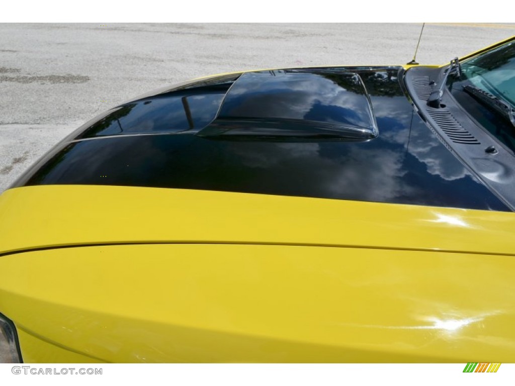 2002 Mustang V6 Coupe - Zinc Yellow / Medium Graphite photo #26