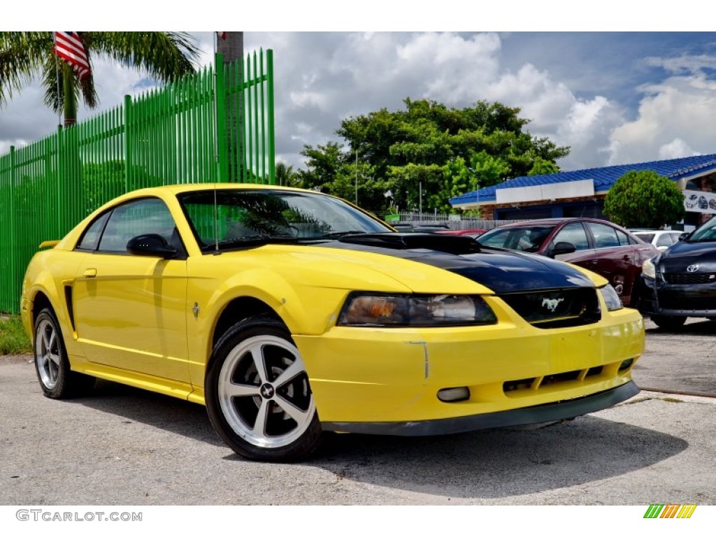 2002 Mustang V6 Coupe - Zinc Yellow / Medium Graphite photo #28