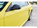 2002 Zinc Yellow Ford Mustang V6 Coupe  photo #52