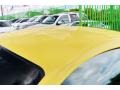 2002 Zinc Yellow Ford Mustang V6 Coupe  photo #53
