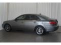 Willow Gray - Sonata GLS Photo No. 8