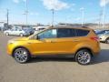 2016 Electric Spice Metallic Ford Escape SE 4WD  photo #7