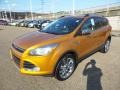 2016 Electric Spice Metallic Ford Escape SE 4WD  photo #8