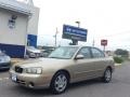 2003 Champagne Beige Hyundai Elantra GLS Sedan #106420083