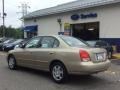 Champagne Beige - Elantra GLS Sedan Photo No. 6