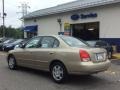 2003 Champagne Beige Hyundai Elantra GLS Sedan  photo #6