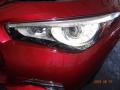 Venetian Ruby - Q 50 Hybrid Premium Photo No. 23