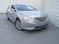 Iridescent Silver Blue Metallic - Sonata SE Photo No. 2