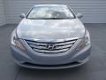 Iridescent Silver Blue Metallic - Sonata SE Photo No. 5