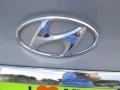 Iridescent Silver Blue Metallic - Sonata SE Photo No. 13
