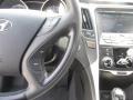 Iridescent Silver Blue Metallic - Sonata SE Photo No. 39