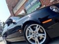 Ebony Black - S-Type R Photo No. 13