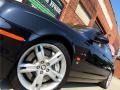 Ebony Black - S-Type R Photo No. 15