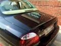 Ebony Black - S-Type R Photo No. 34