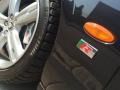 Ebony Black - S-Type R Photo No. 57