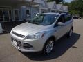 2016 Ingot Silver Metallic Ford Escape SE 4WD  photo #3
