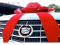 2006 White Diamond Cadillac STS V6  photo #12