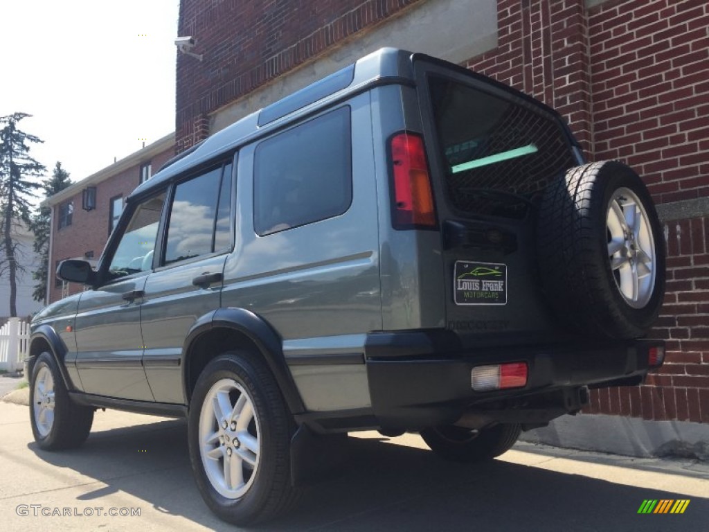 2004 Discovery SE - Giverny Green / Alpaca Beige photo #4