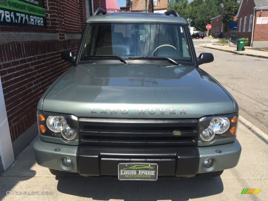 2004 Discovery SE - Giverny Green / Alpaca Beige photo #7