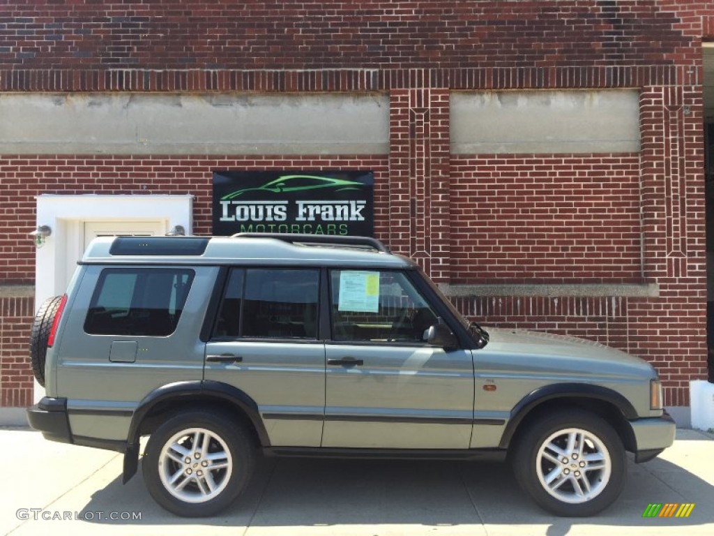 2004 Discovery SE - Giverny Green / Alpaca Beige photo #9