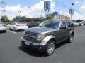 Mineral Gray Metallic - Nitro Heat Photo No. 3